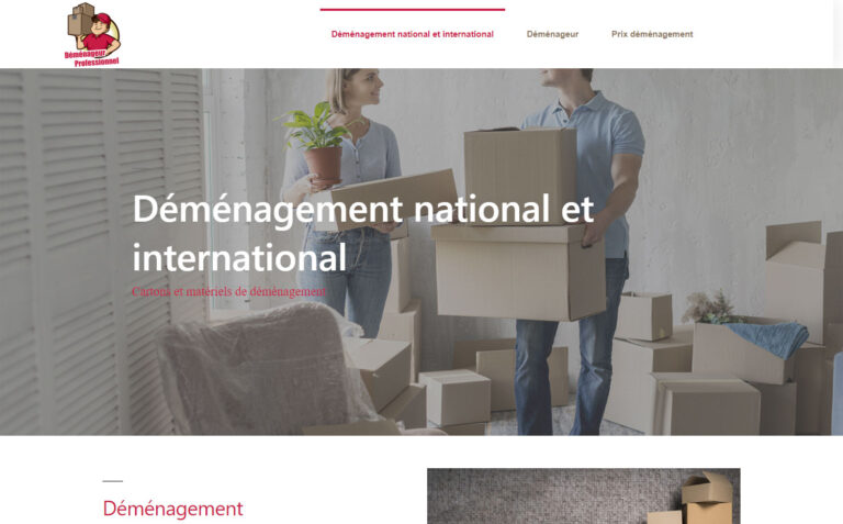 Déménageur Professionnel