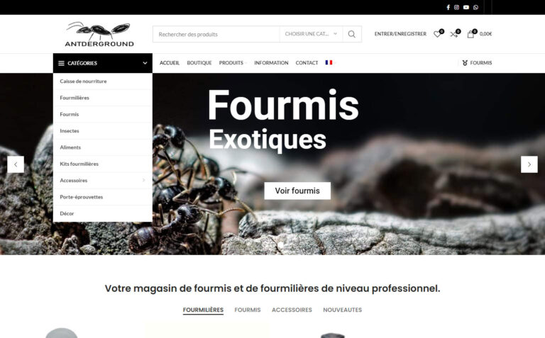 Antderground - Fourmilières professionnelles