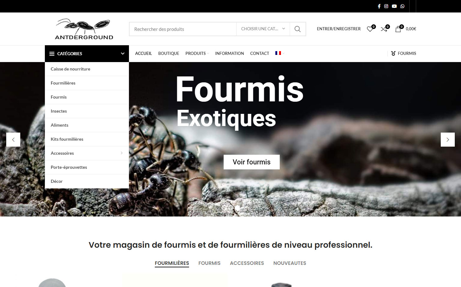 Antderground - Fourmilières professionnelles
