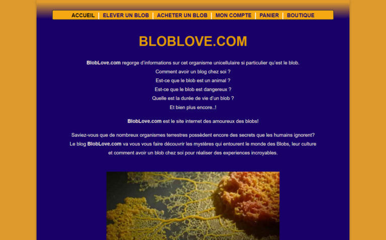Blob Love - Comment acheter un blob vivant ?