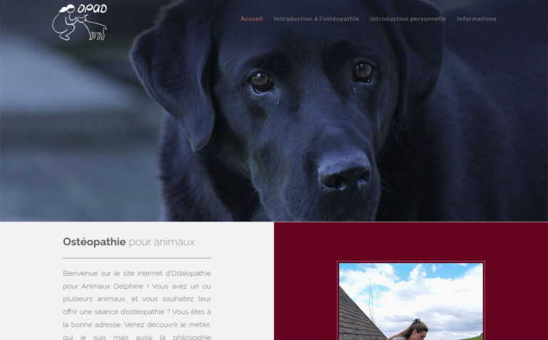 OPAD - Ostéopathie pour animaux