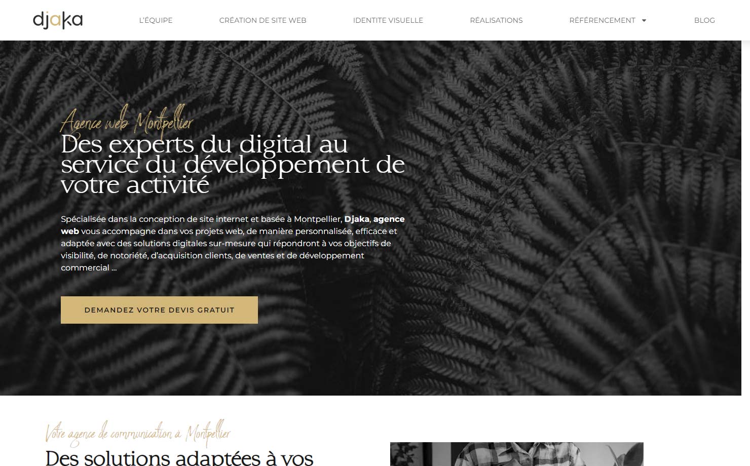 Djaka - Agence web