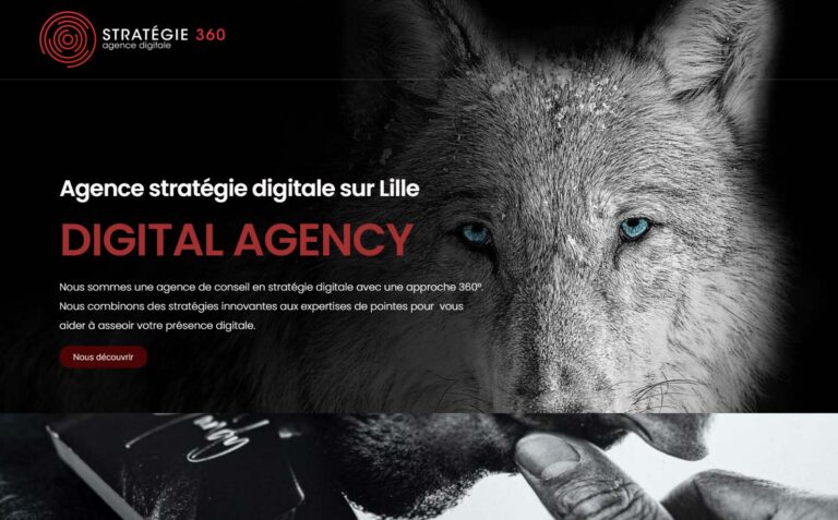 Stratégie 360 - Agence Digitale