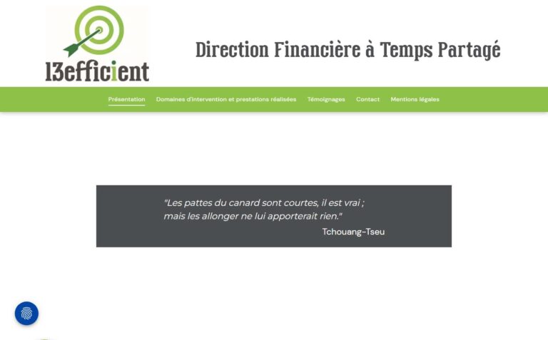 13efficient - DAF à Temps Partagé, professionnel de la gestion financière et administrative