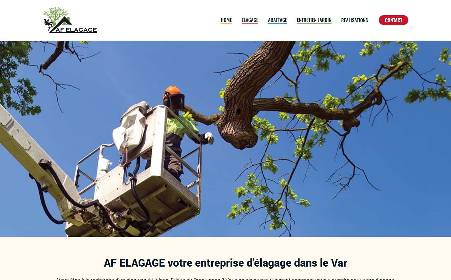 AF Elagage - Comment et quand tailler un olivier dans le Sud ?