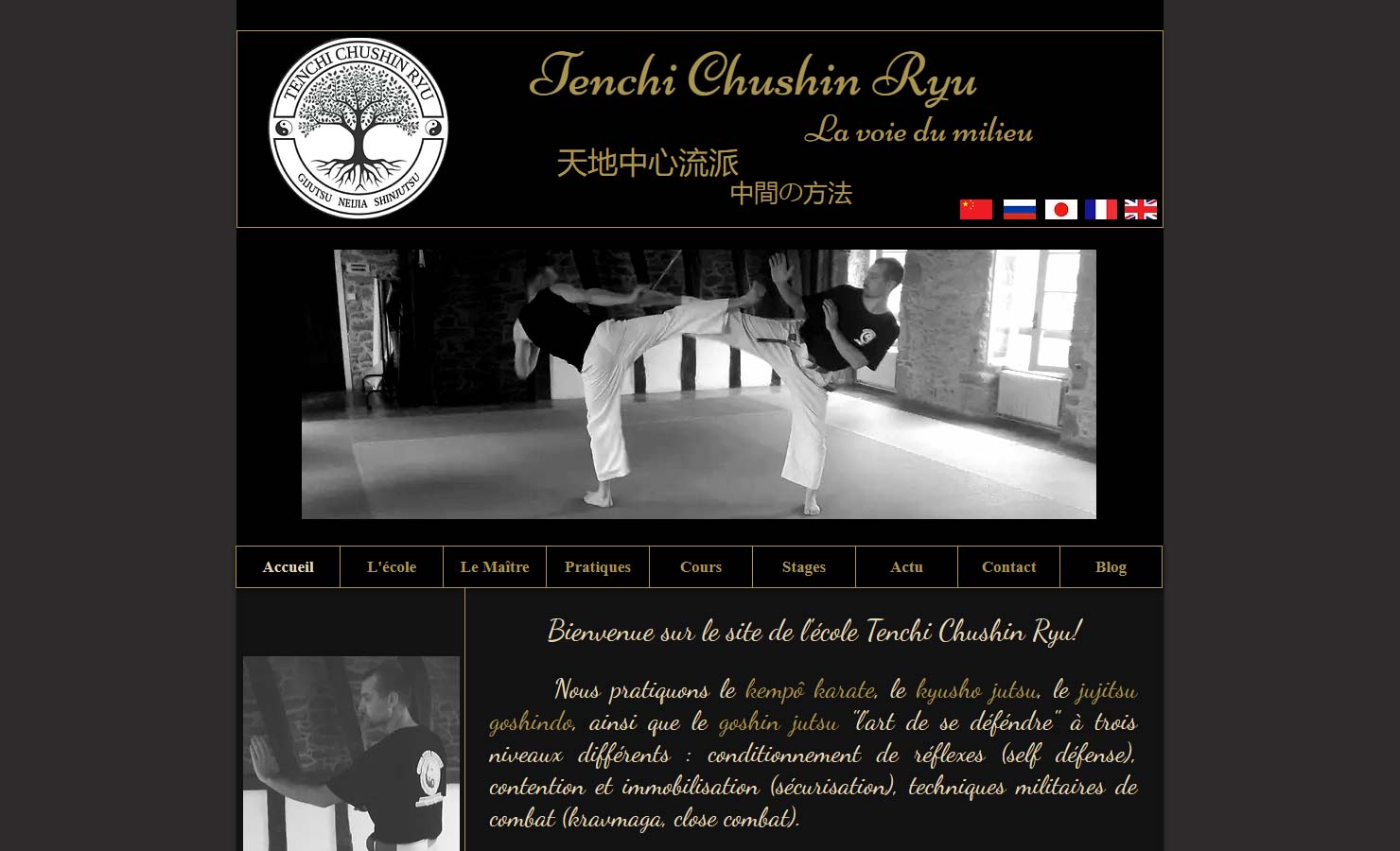 Tenchi Chushin Ryu