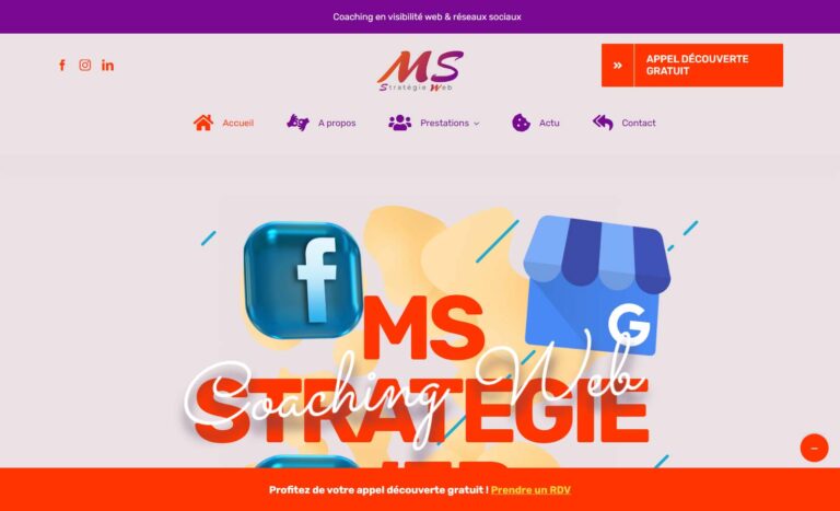 Ms Stratégie Web