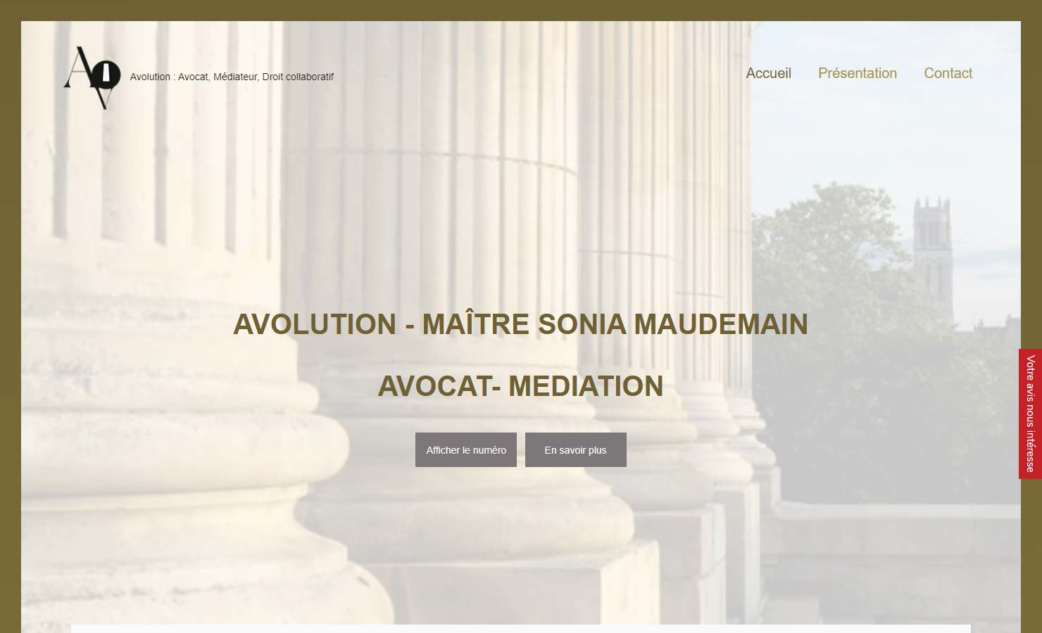 Avocat maitrisant divorce à Cholet | AVOLUTION