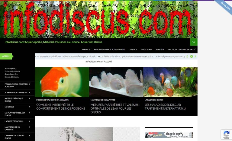 InfoDiscus.com - Webzine des poissons en eau douce et de l'aquariophilie