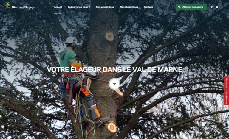 Niochaut Élagage - Élagueur à Champigny-sur-Marne
