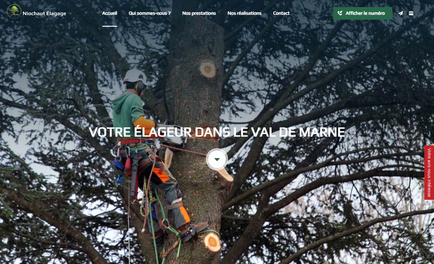 Niochaut Élagage - Élagueur à Champigny-sur-Marne
