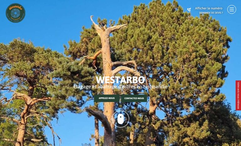 WESTARBO - Abattage arbre à Le Havre
