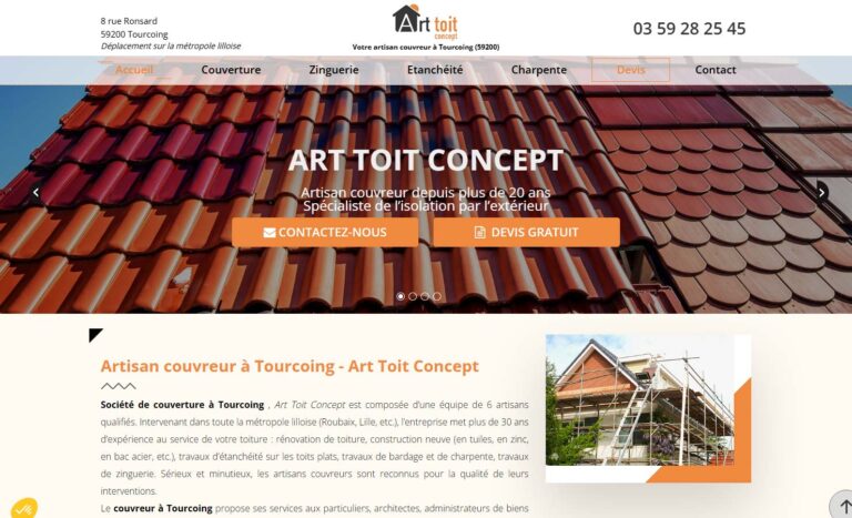 Art toit concept